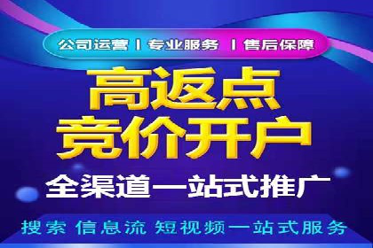 某公司SEM推广的失败教训与成功经验